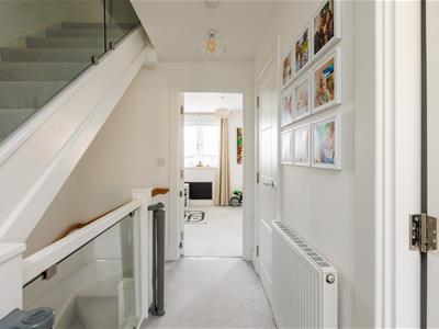 Picture 20